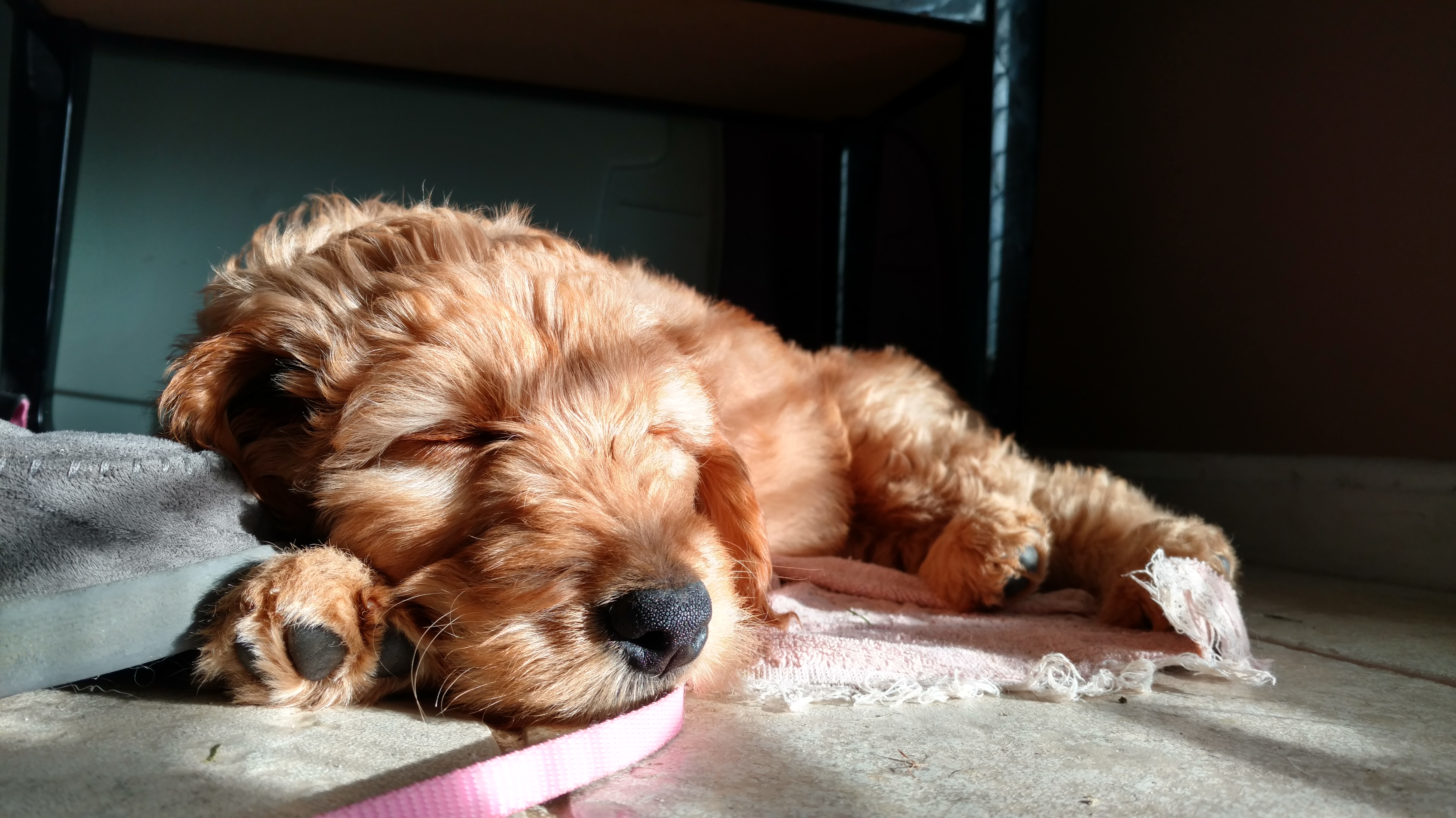 Ingrid Sleeping
