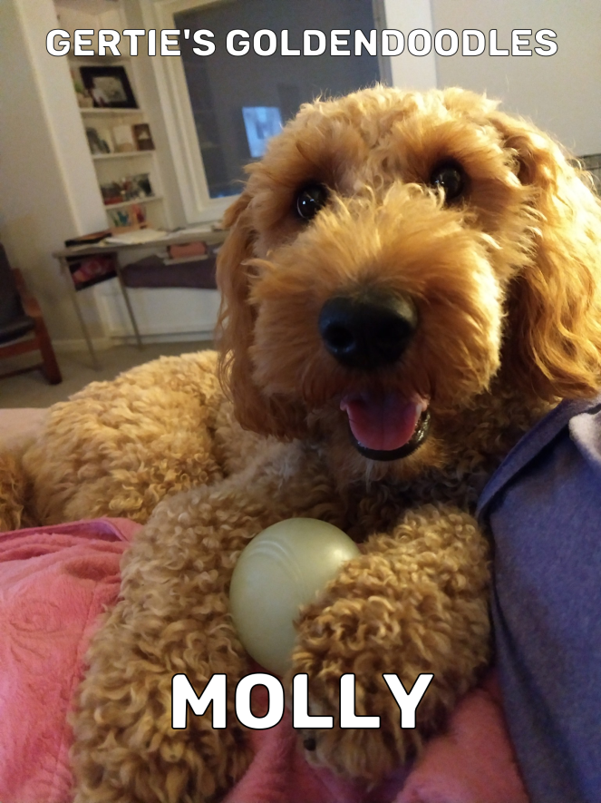 Molly