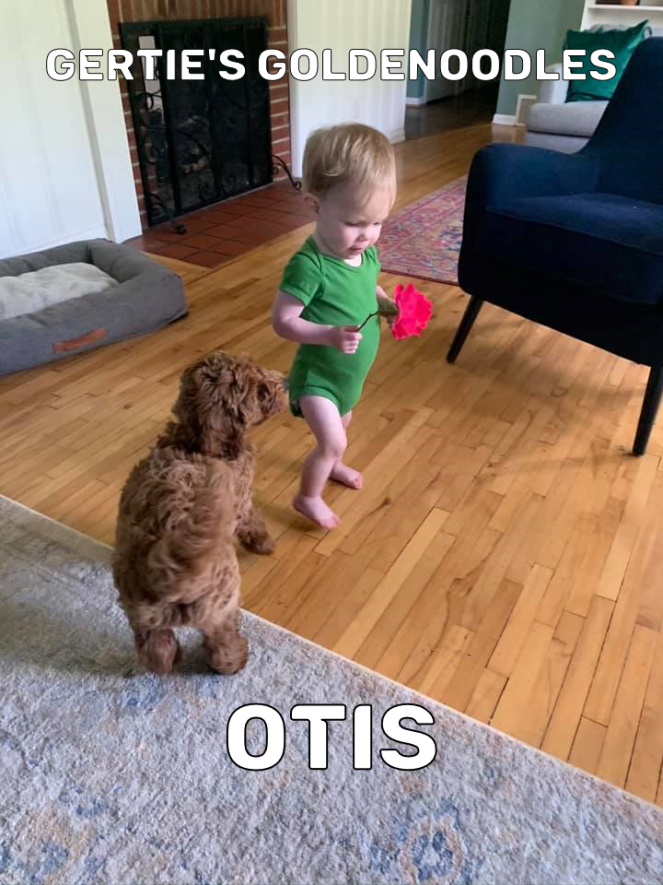 Otis 2